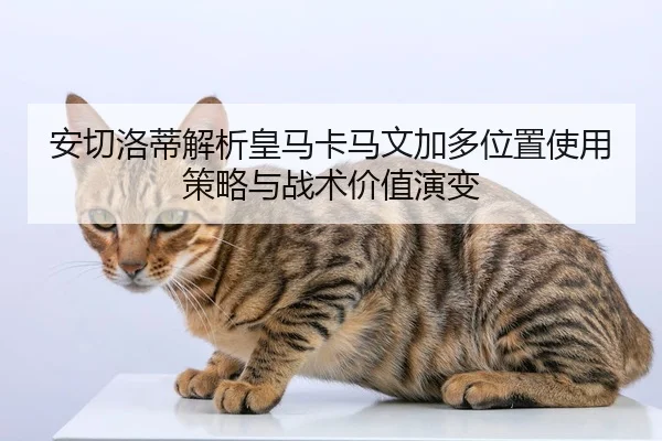 安切洛蒂解析皇马卡马文加多位置使用策略与战术价值演变