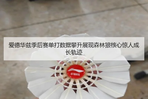 爱德华兹季后赛单打数据攀升展现森林狼核心惊人成长轨迹
